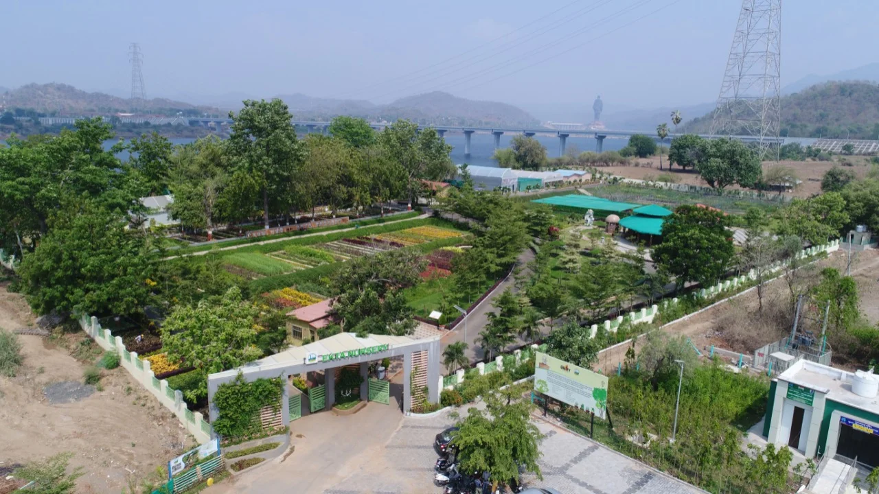Ekta Nursery